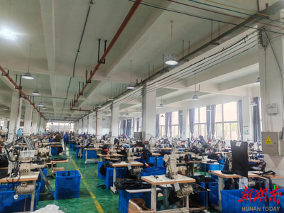 大坪村振兴新动力 驻村干部赴企取经，拓宽箱包销售新思路