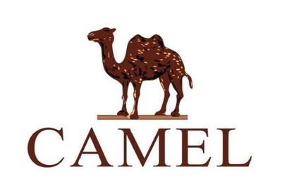 双十一热战正酣 十大热门女鞋品牌盘点，百丽领衔，英伦箱包品牌跨界突围