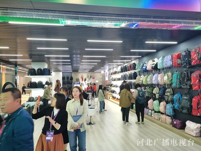创新驱动与全球视野 2023中国·白沟国际箱包博览会开幕纪实